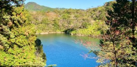 はじめまして、タナカです！